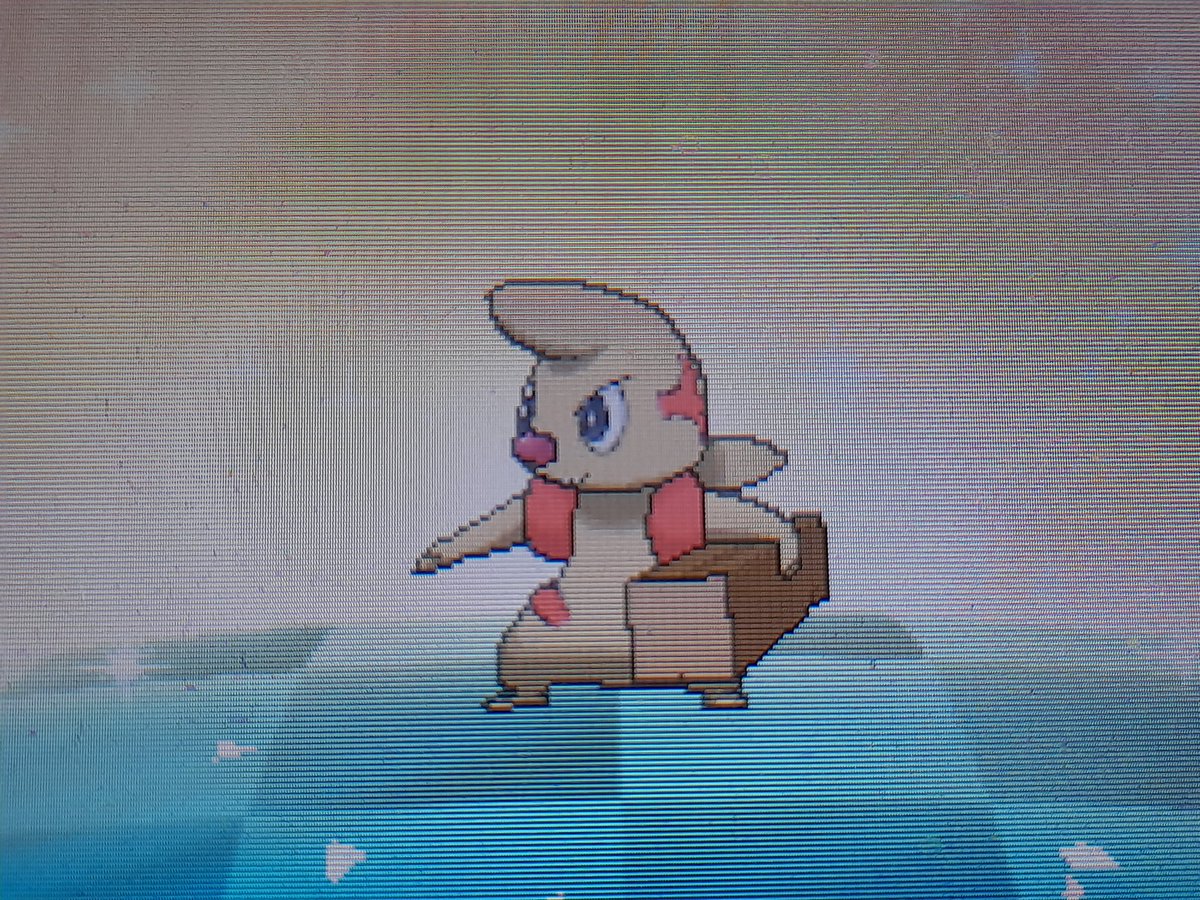 Second sparkly wood wielder at 894 eggs (561 for this one)! Could this be the first all under odds line in a while?