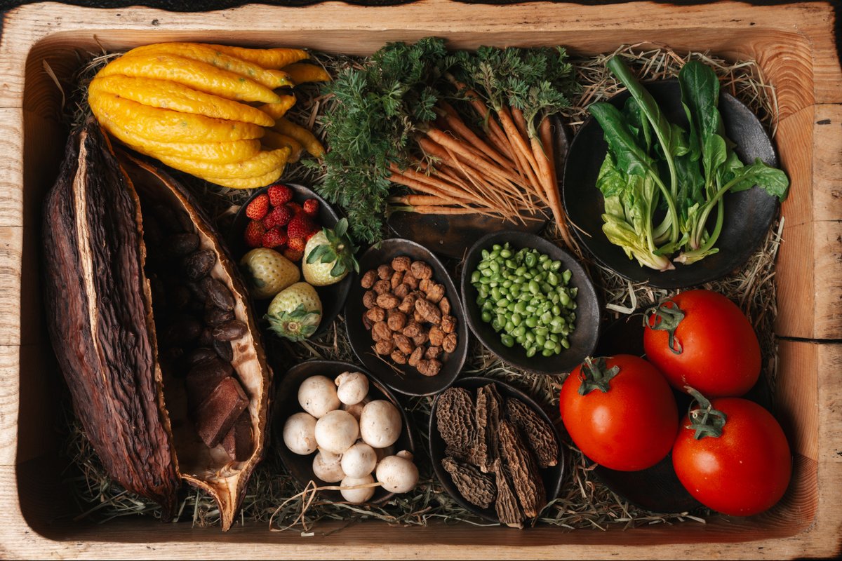 CEBO Madrid tweet media