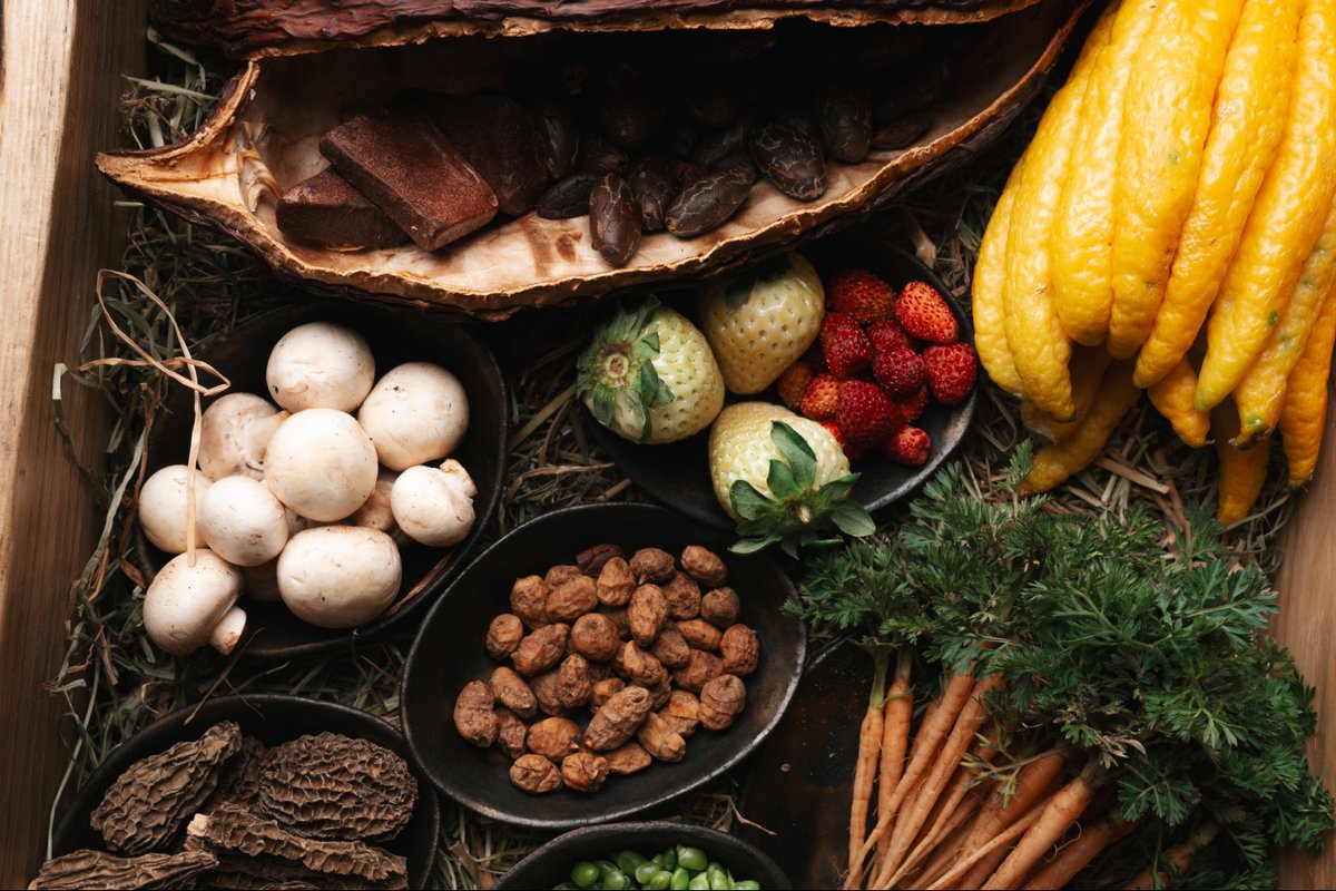 CEBO Madrid tweet media