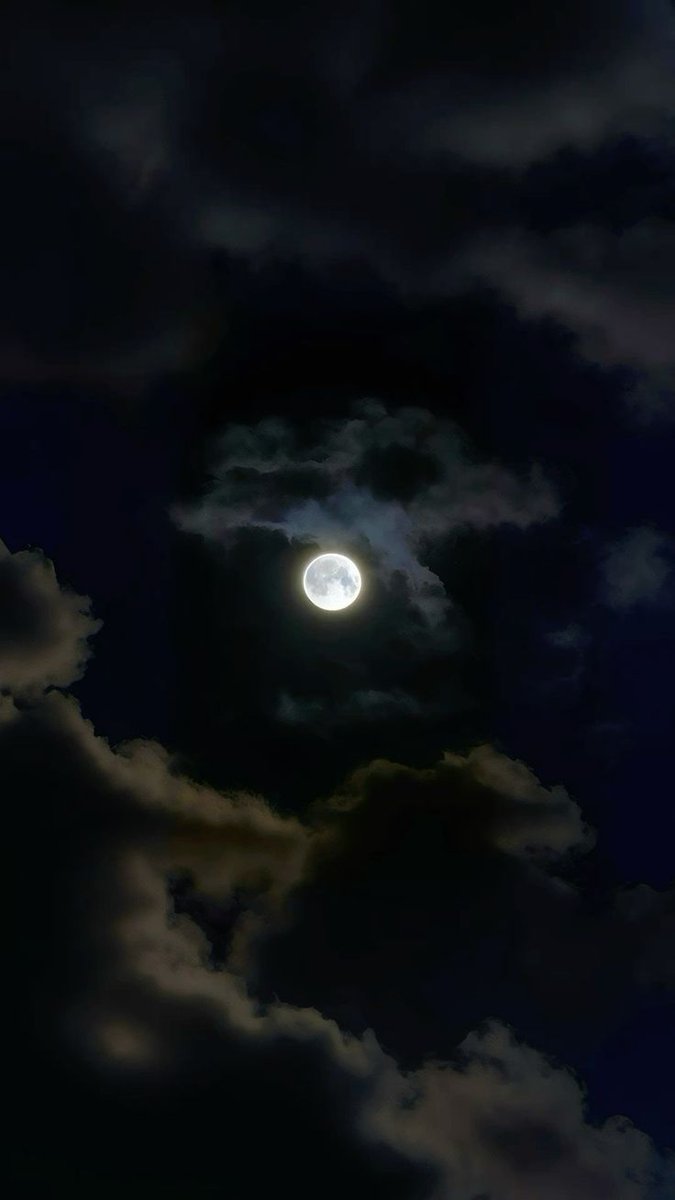 𝕰𝖑𝖊𝖒𝖒𝖎𝖗𝖊 tweet media