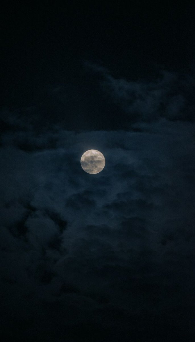 𝕰𝖑𝖊𝖒𝖒𝖎𝖗𝖊 tweet media