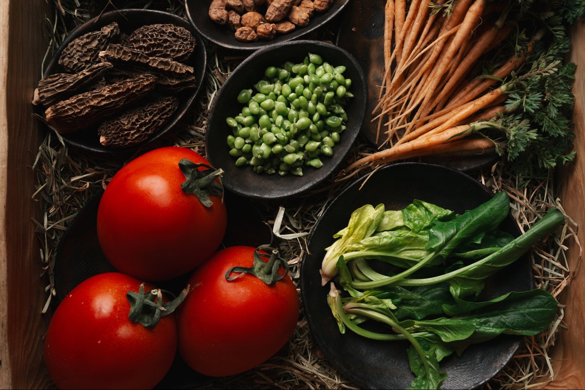 CEBO Madrid tweet media