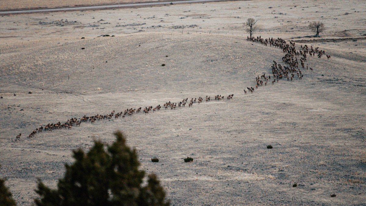 Arthur M. Blank Family Foundation tweet media