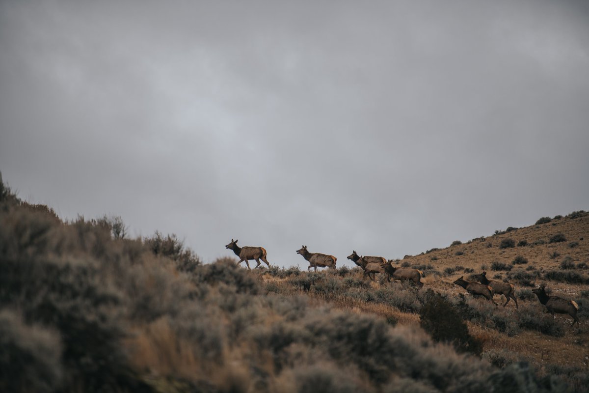 Arthur M. Blank Family Foundation tweet media