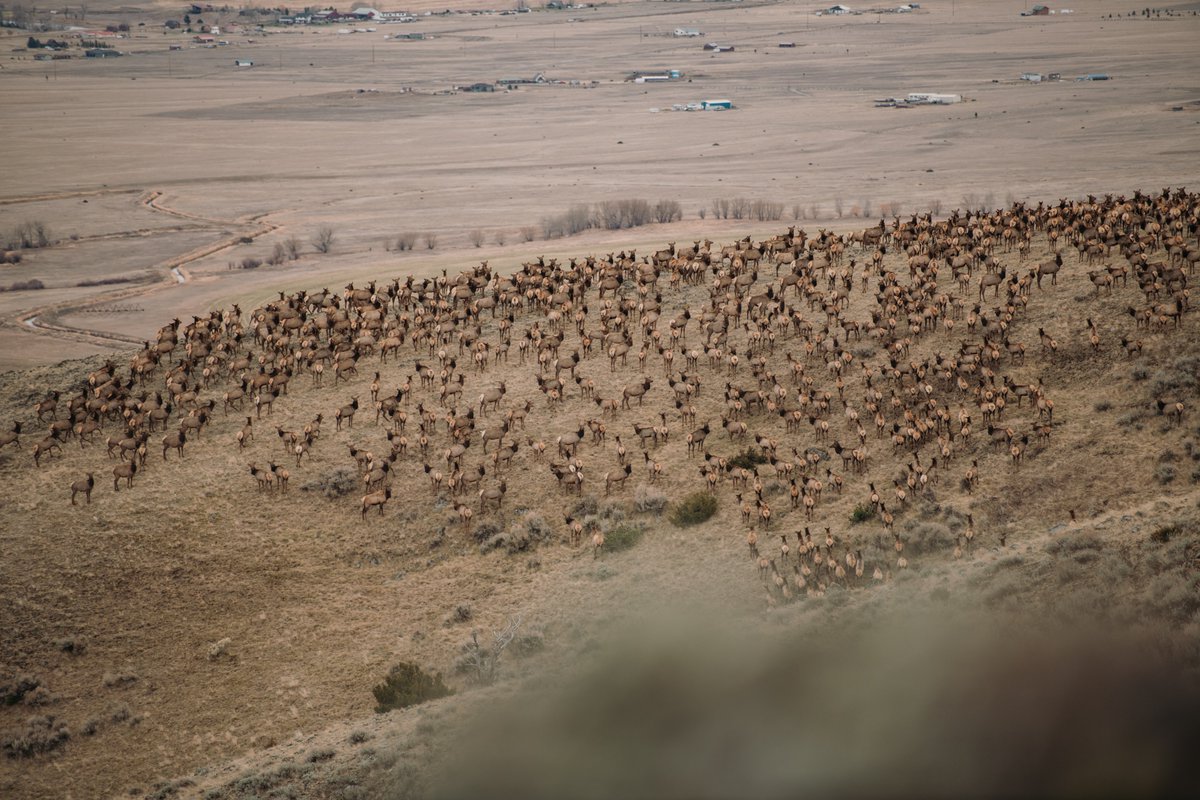 Arthur M. Blank Family Foundation tweet media