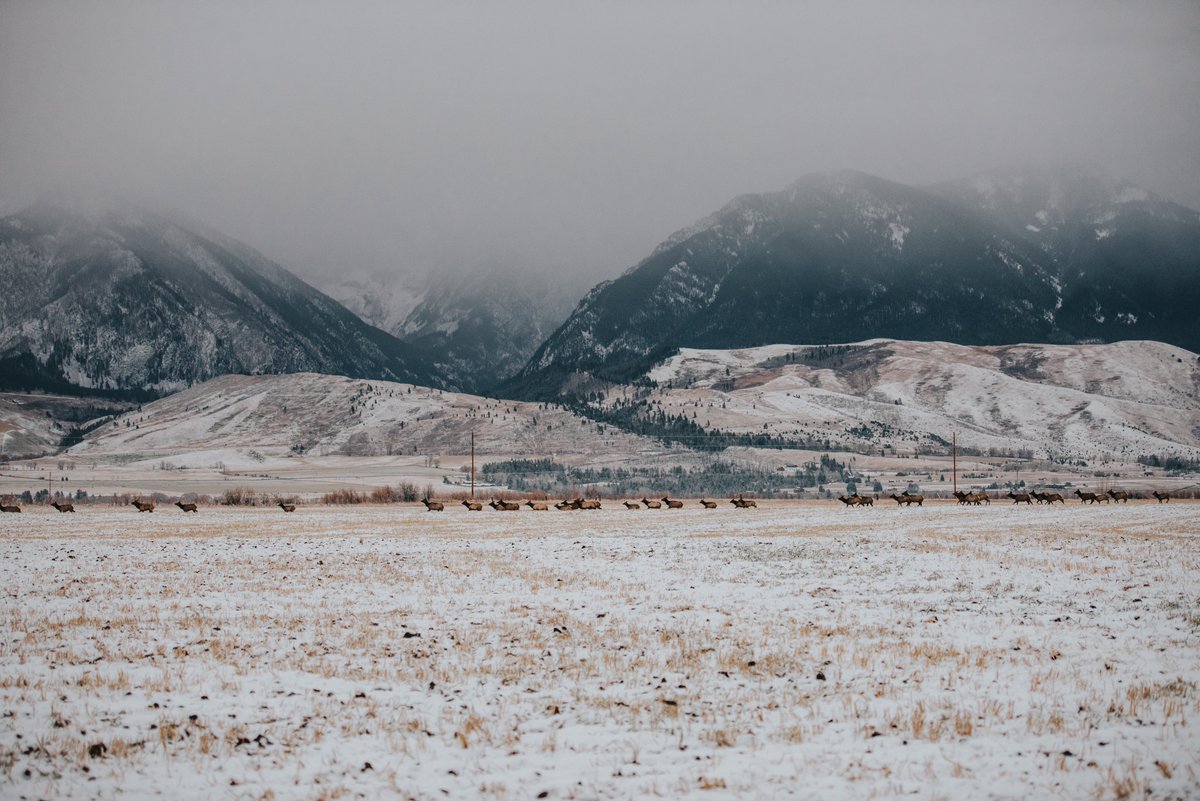 Arthur M. Blank Family Foundation tweet media