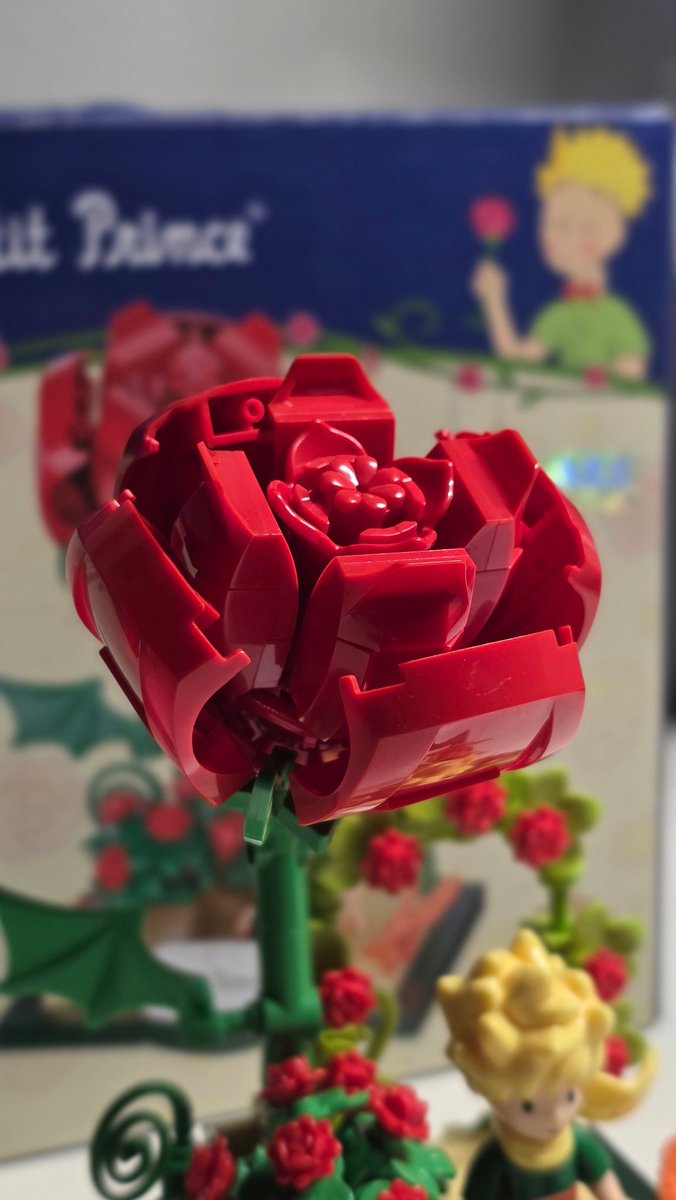 Ahjumma2015's tweet photo. استمتعت بتركيب تفاصيل روايتي المفضلة! ✨️
"الأمير الصّغير" https://t.co/wKU6pTcYiP