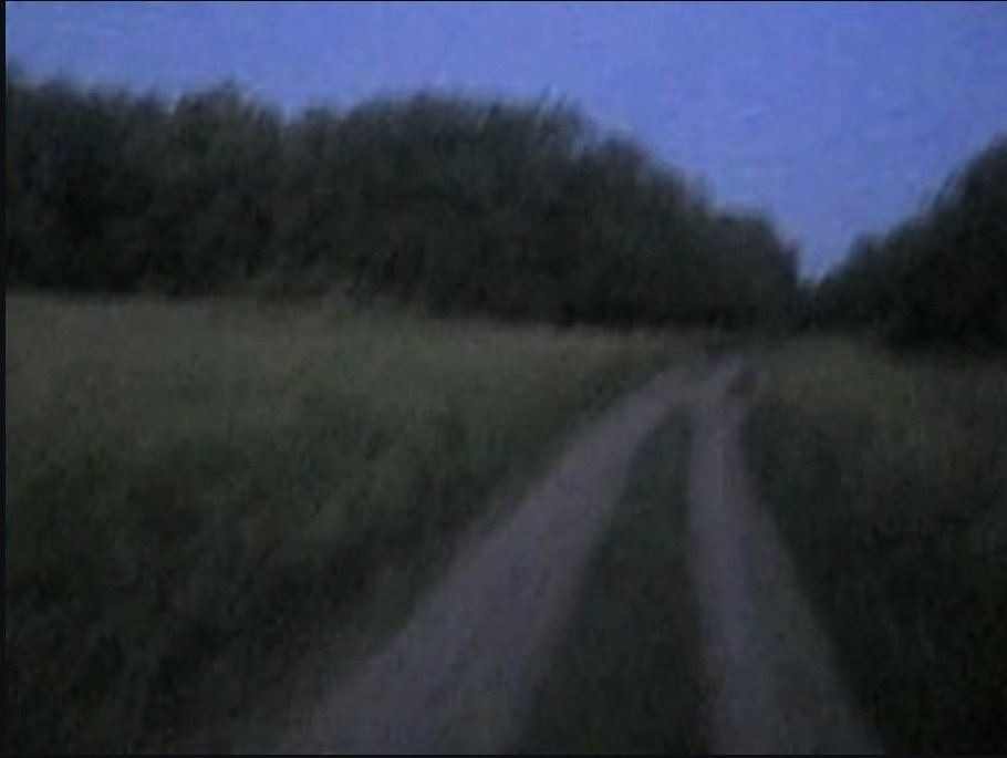 POV 16-jährige Sepp läuft rotzbesoffen nach Hause