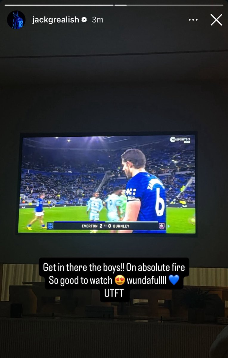 𝗧𝗵𝗲 𝗧𝗼𝗳𝗳𝗲𝗲 𝗕𝗹𝘂𝗲𝘀 tweet media