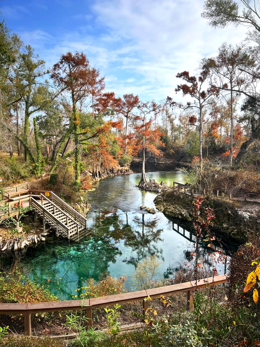 Florida State Parks tweet media