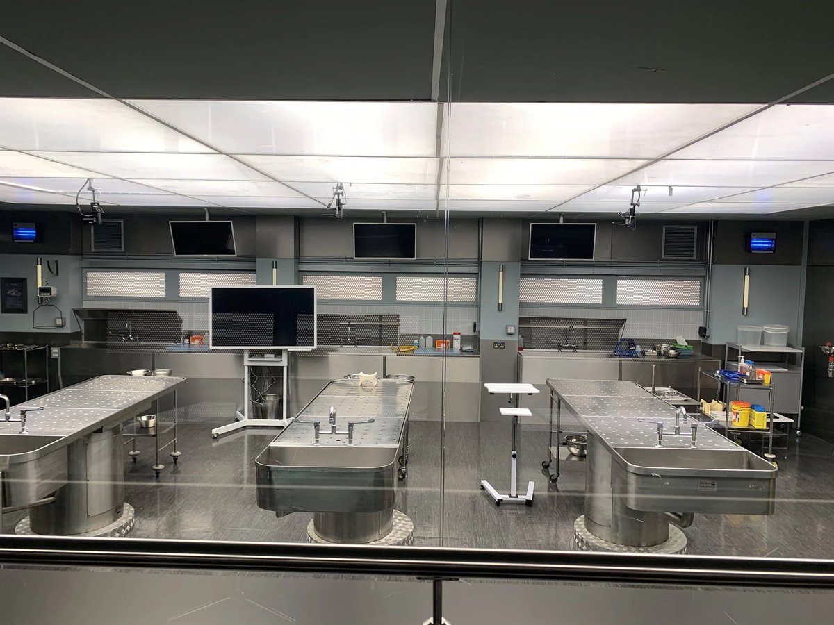 Debbie Blackman #ManifestSpinOff tweet media