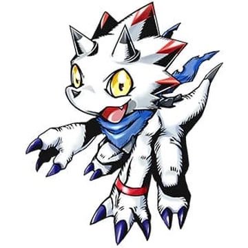 Pumpketo tweet media