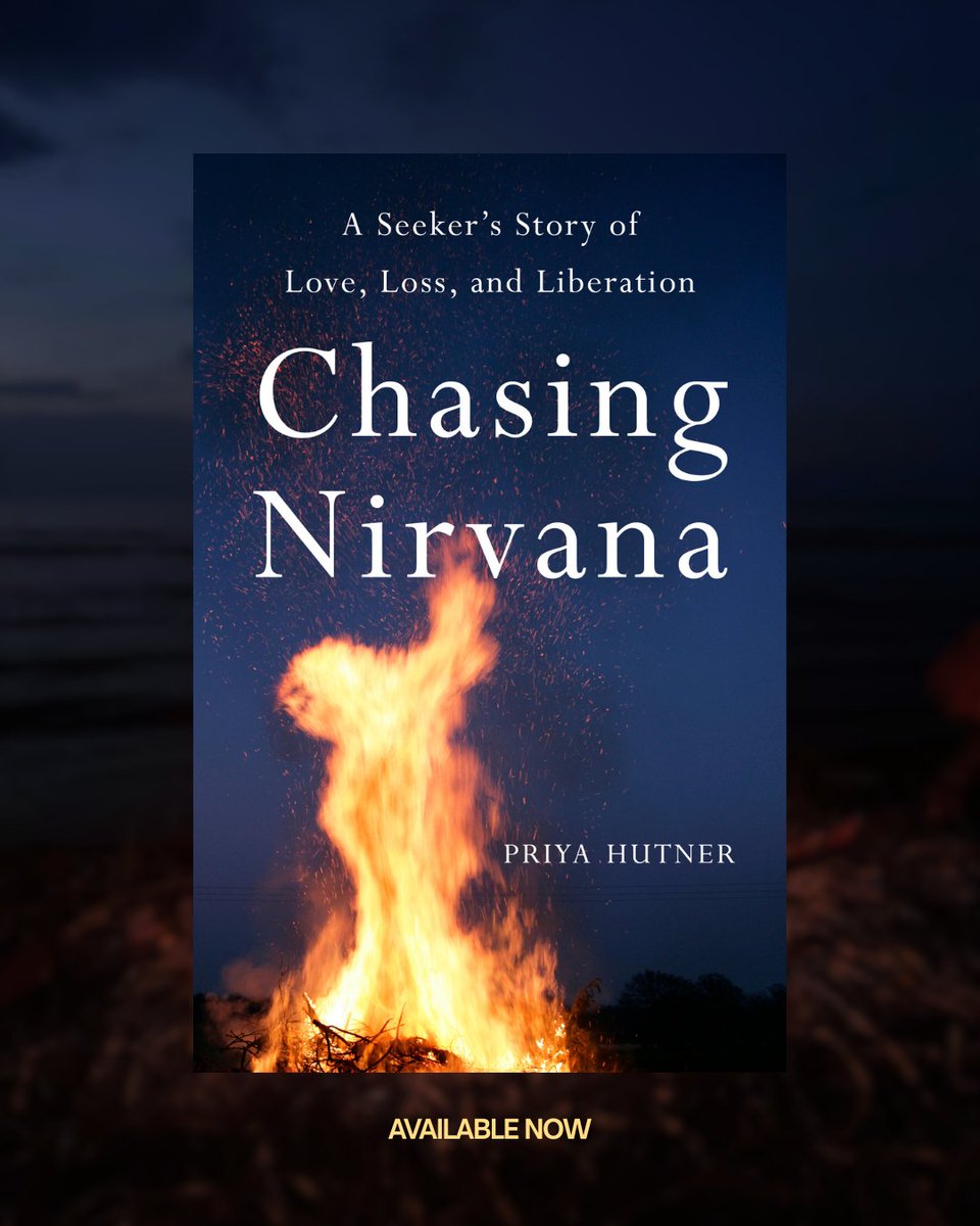 Wildbound PR tweet media