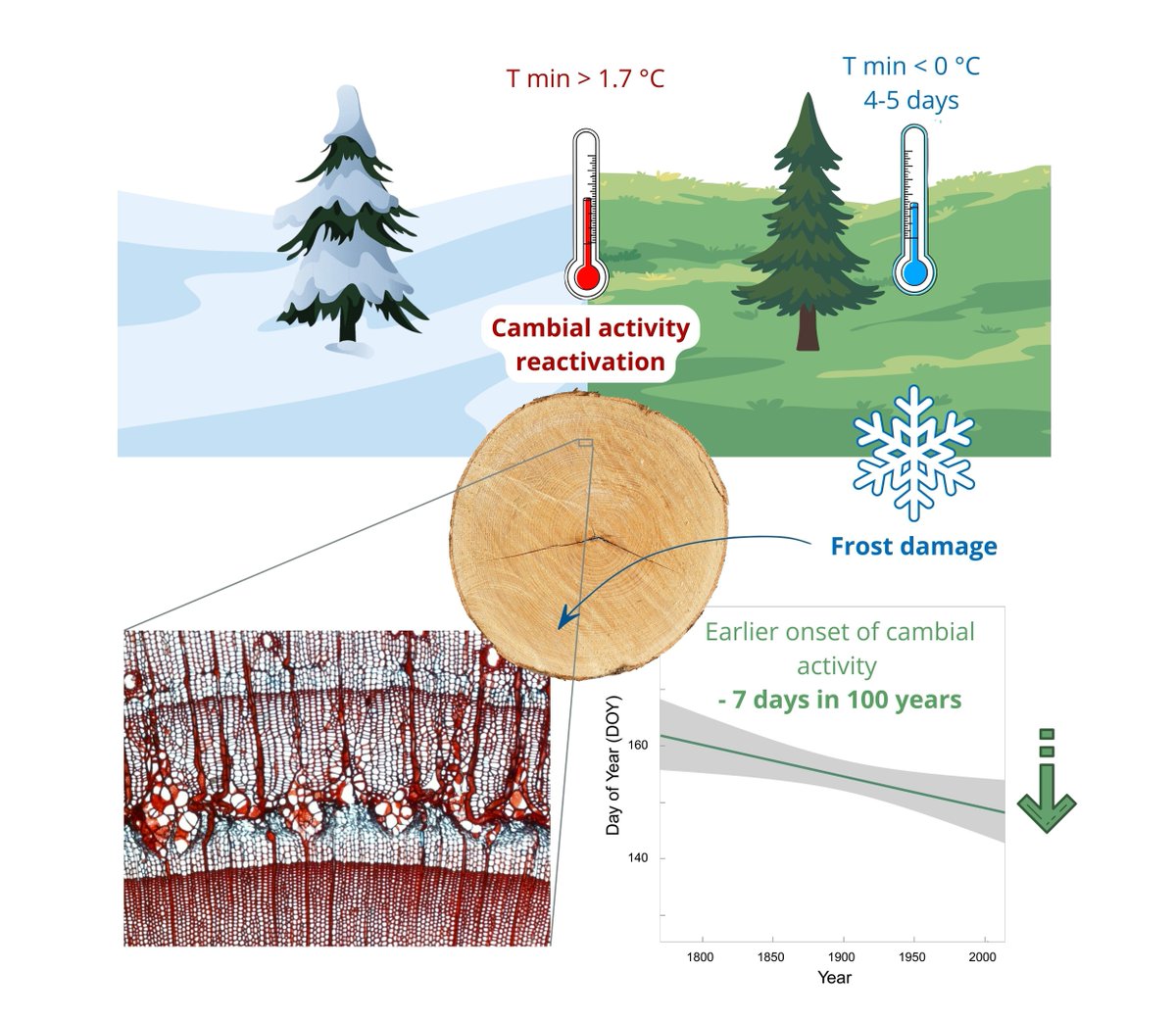 Global Change Biology tweet media