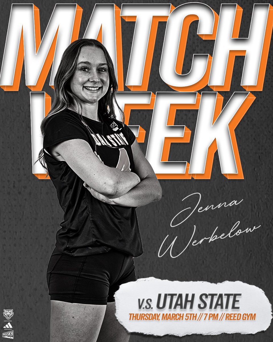 Idaho State VB tweet media