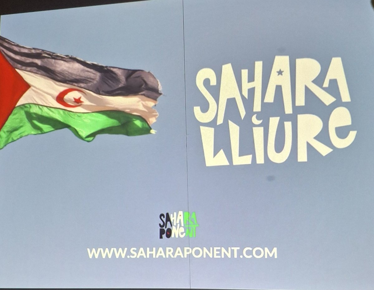 Sahara Ponent 🇪🇭 tweet media