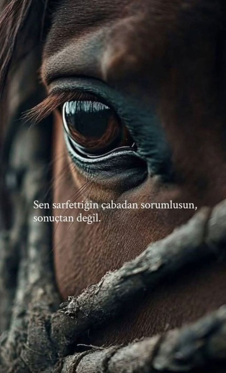 xmentalactivity's tweet photo. “Sen, sarf ettiğin çabadan sorumlusun, sonuçtan değil.” https://t.co/wxn9MbzoGj