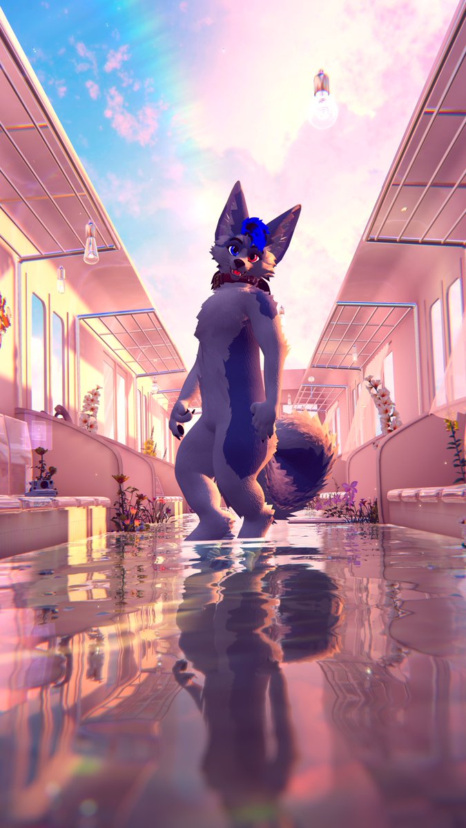 Cloud Husky Landar #LVFC (GOH) tweet media