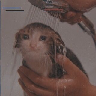 Axolootl |✨Work on my V2✨| tweet media