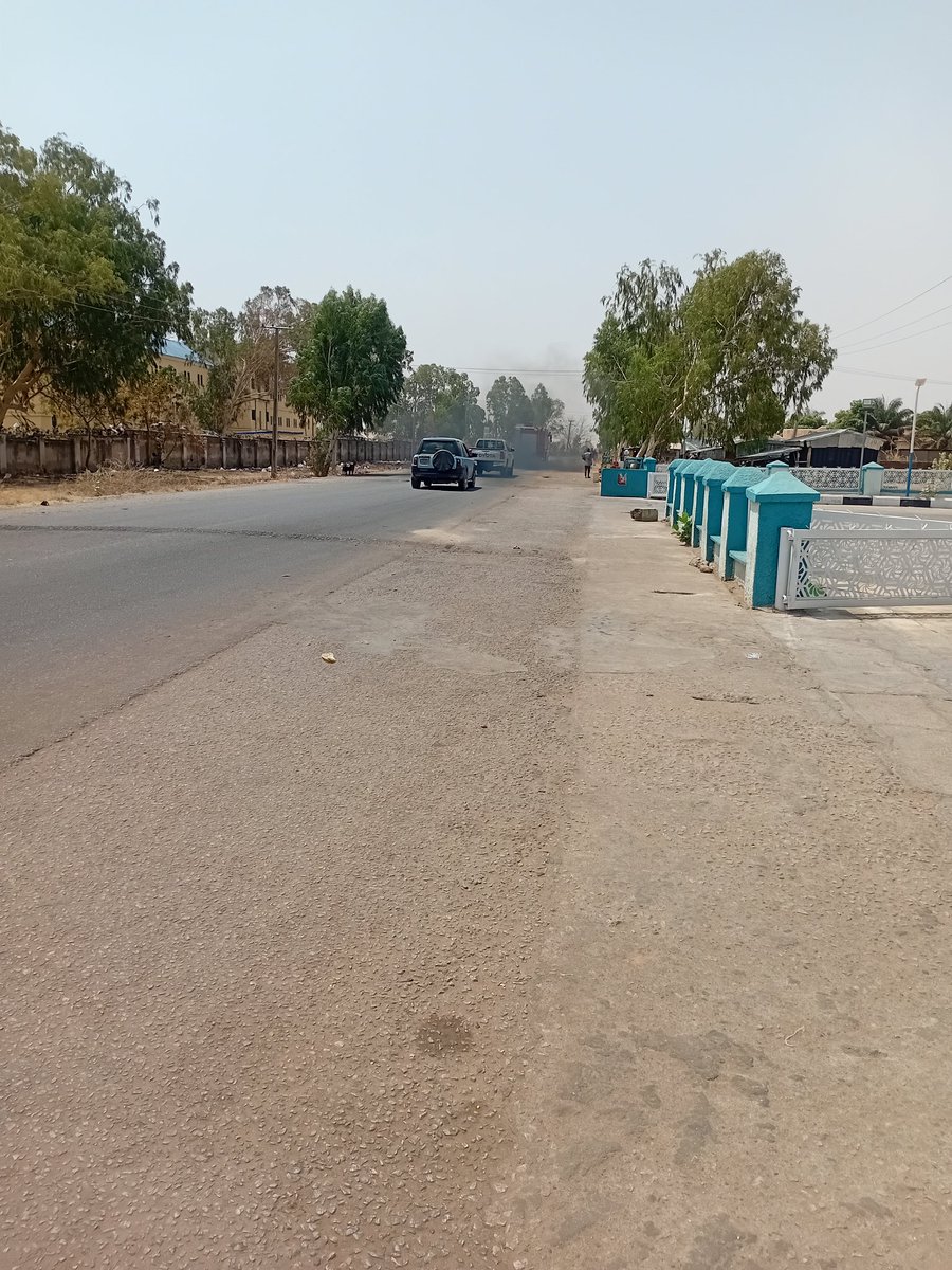 Tell me what you saw