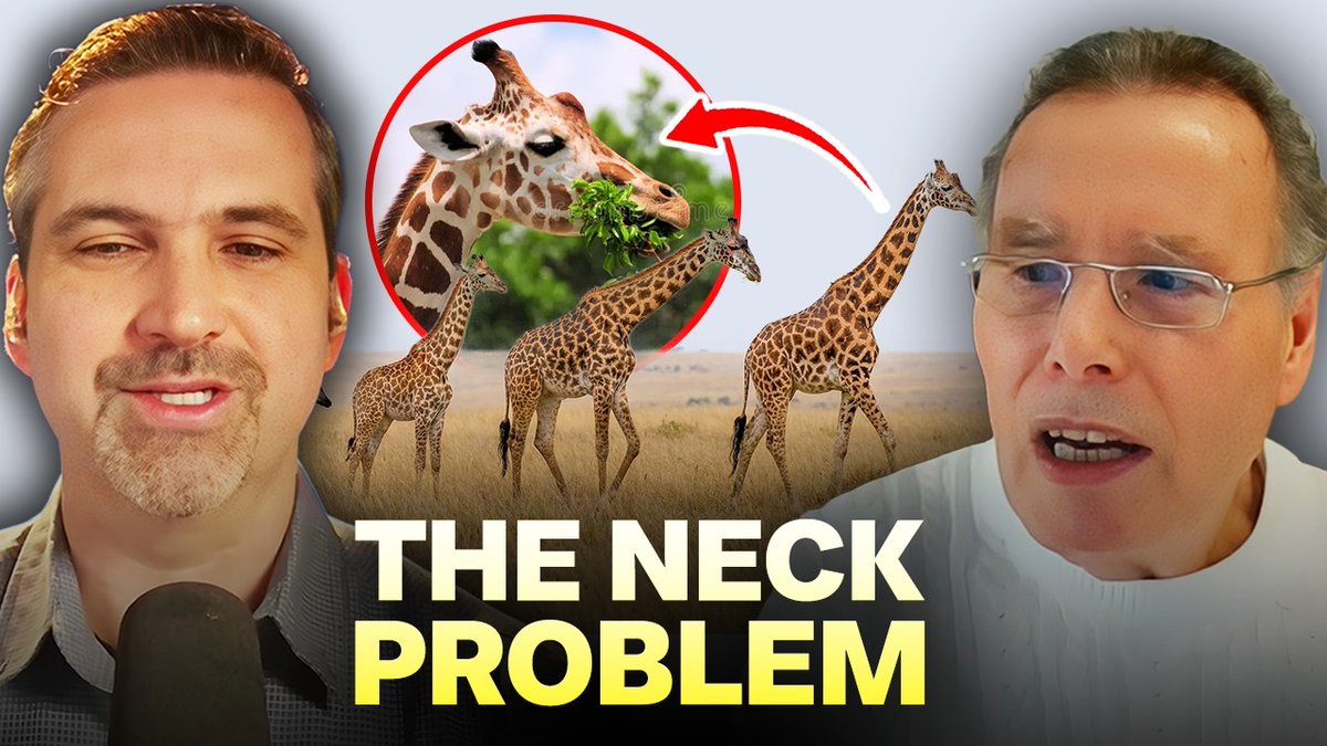 Intelligent Design The Future tweet media