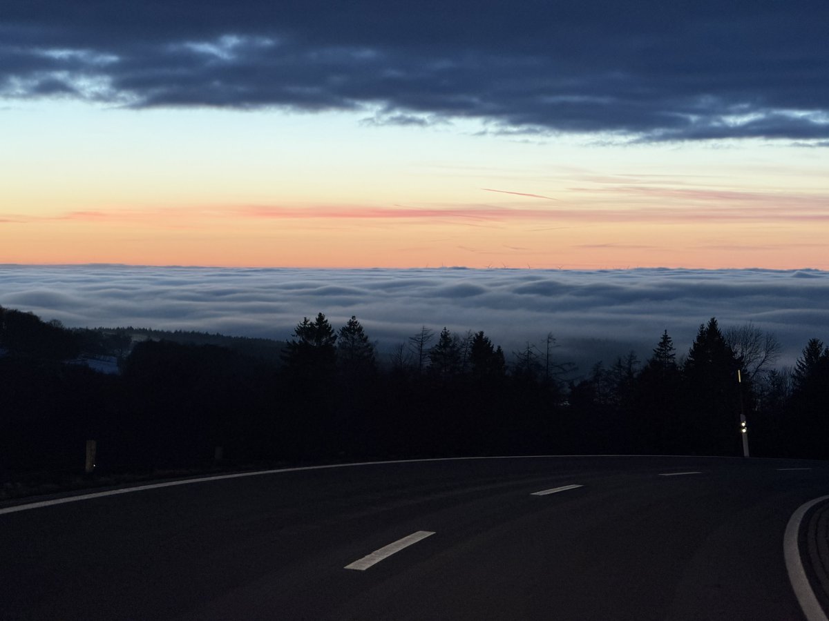 Norman / NoNoZaZa / Normn tweet media