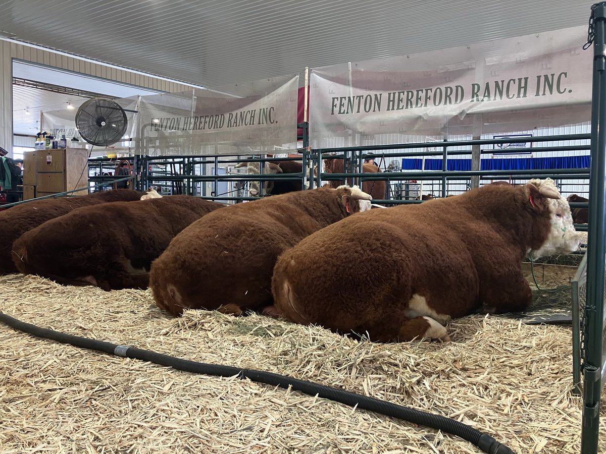 Conrad Fenton tweet media