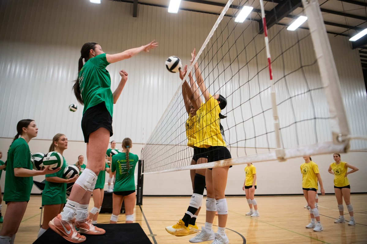 Pineapple High Performance tweet media