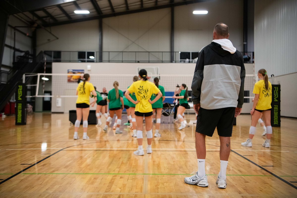 Pineapple High Performance tweet media