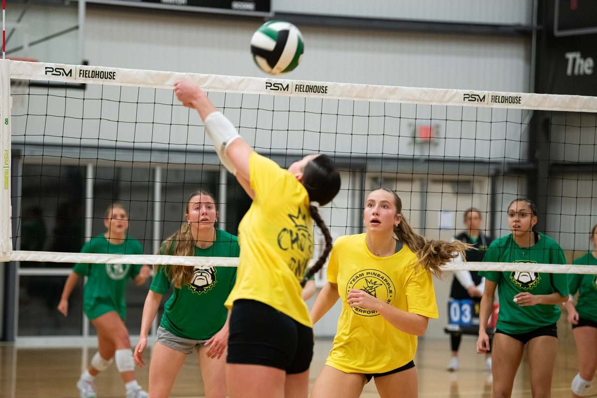 Pineapple High Performance tweet media