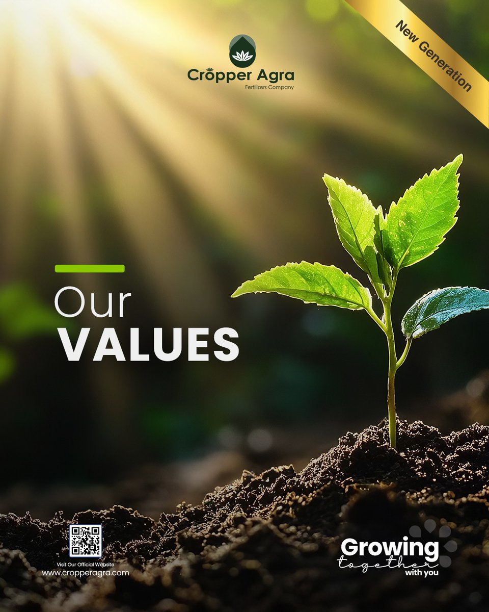 Cropper_Agra's tweet photo. Strong crops start with strong principles. 🌱

At Cropper Agra, integrity, quality, collaboration &amp; sustainability drive every decision — growing better for farmers and the future.

#CropperAgra #SustainableFarming #QualityDriven https://t.co/XvMQJtO8I7