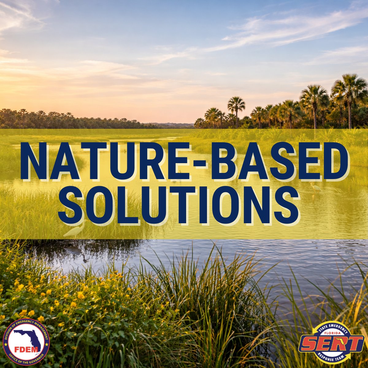 FL Division of Emergency Management tweet media