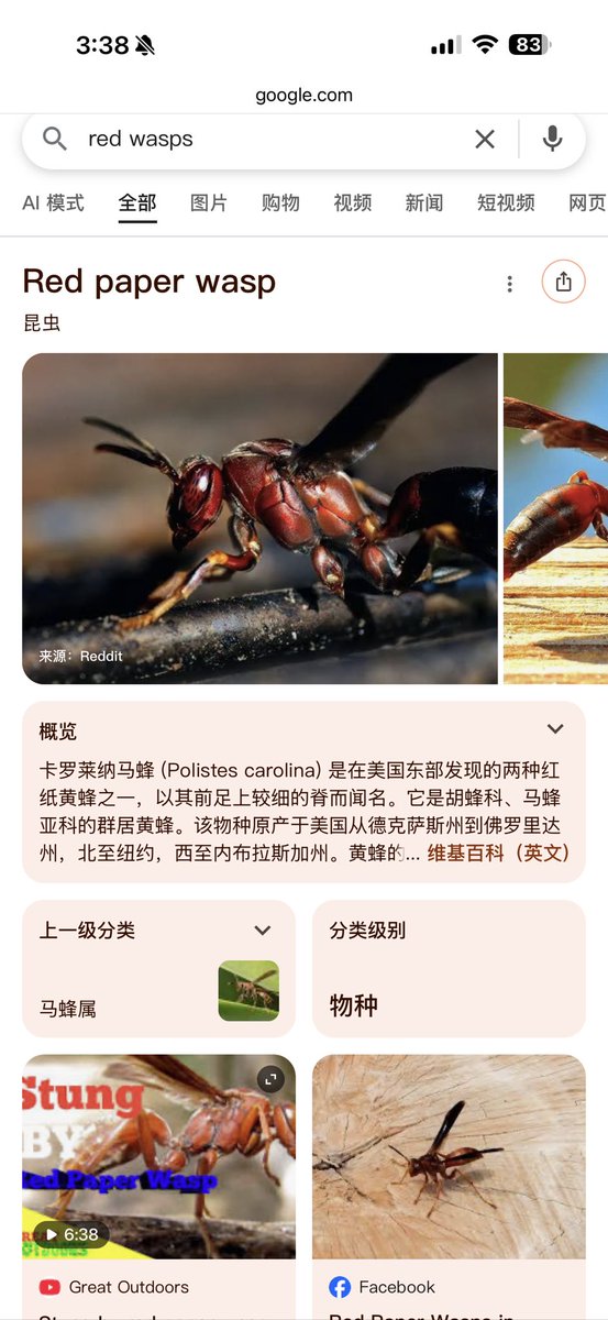 Lucia🍊🍊🇺🇸🇺🇸榜一姐 tweet media