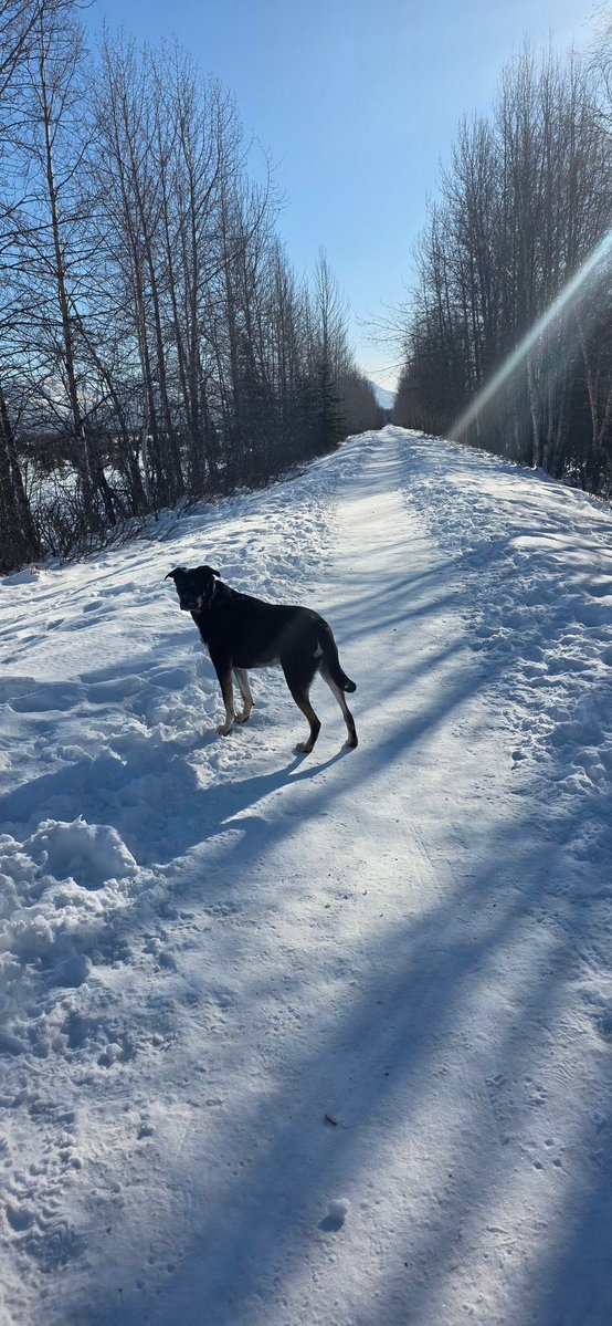 Courtney Marchesani tweet media