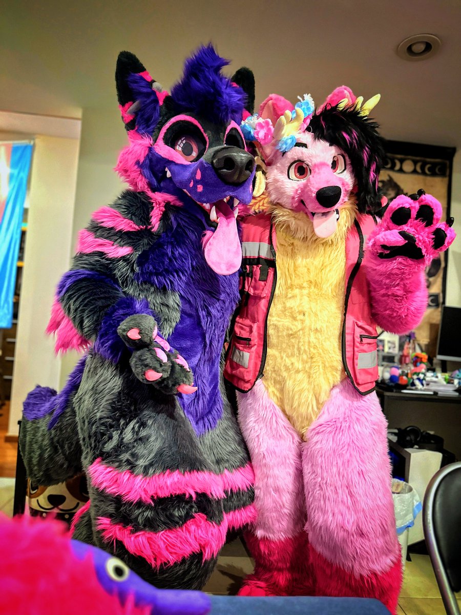 Ya mero es cumpleaños de <a href="/KaseyYeen/">🏳️‍⚧️Kasey/Siân 🔜 Megaplex🍈🍉</a>! 🩷🌸
Demasiado rosita para sus retinas 💗👀
La única cura para sus ojos es felicitar a Kasey el próximo 8 de marzo! Jajaja
#fursuit #furry #werewolf #morefurless