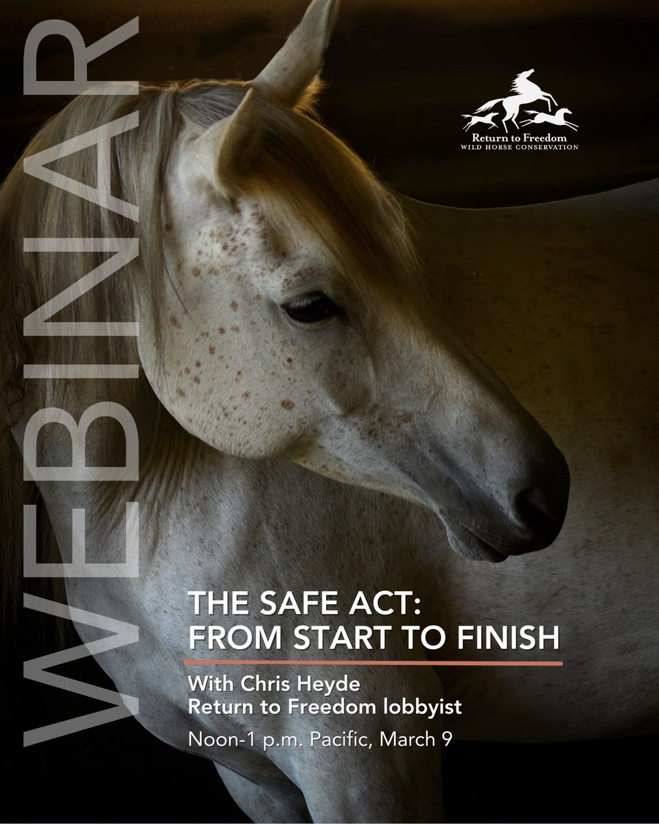 Return to Freedom tweet media