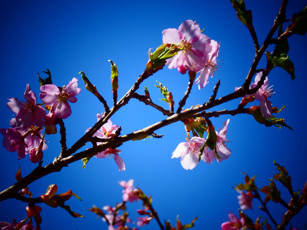 まちぼうけのまっちゃん(通知不具合ありお返し出来ません ごめんなさい🙏🙇) tweet media