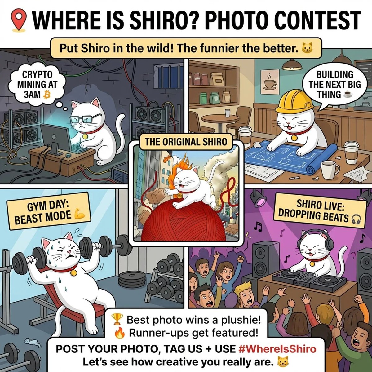 Shiro Neko tweet media
