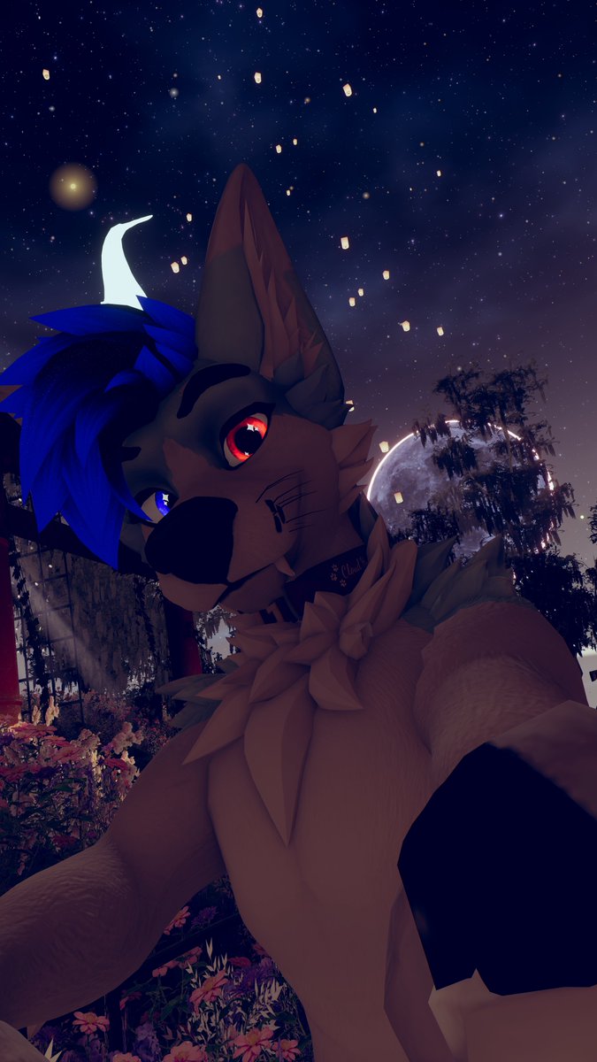 Cloud Husky Landar #LVFC (GOH) tweet media