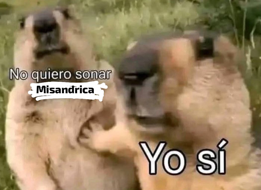 la hora de opinar ⋆˙⟡ tweet media