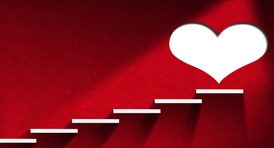 Cape Cod Healthcare tweet media