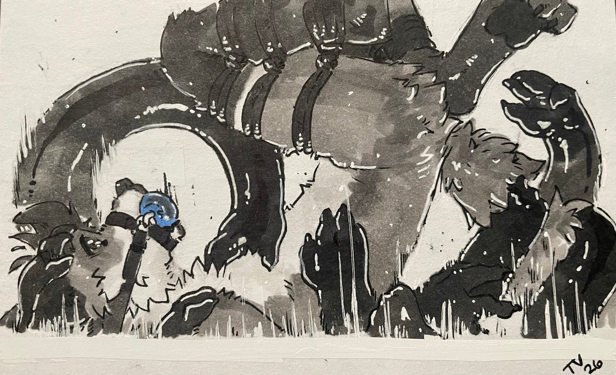 tempestus_vulpis tweet media