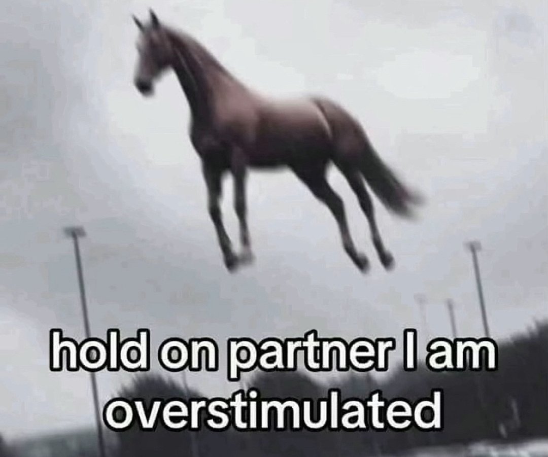 NightShiftTurtle tweet media