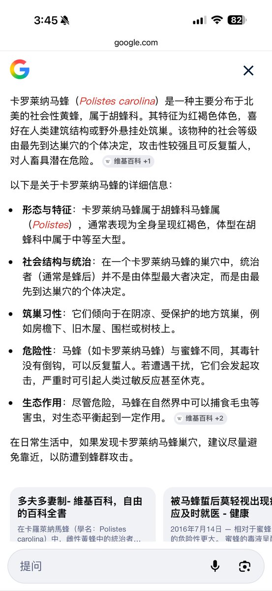 Lucia🍊🍊🇺🇸🇺🇸榜一姐 tweet media