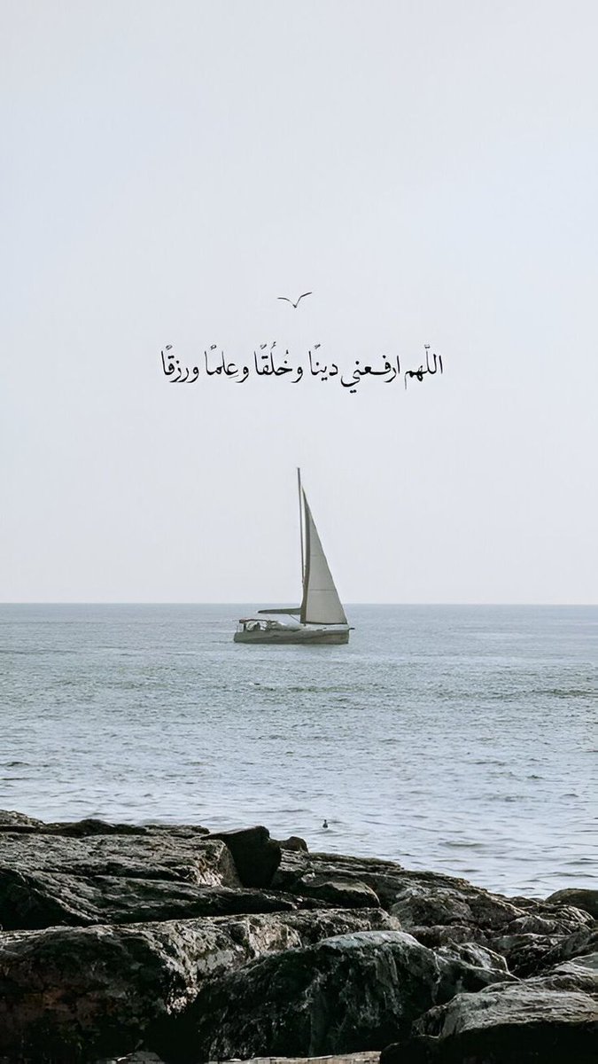 أابو علي الشيخ tweet media