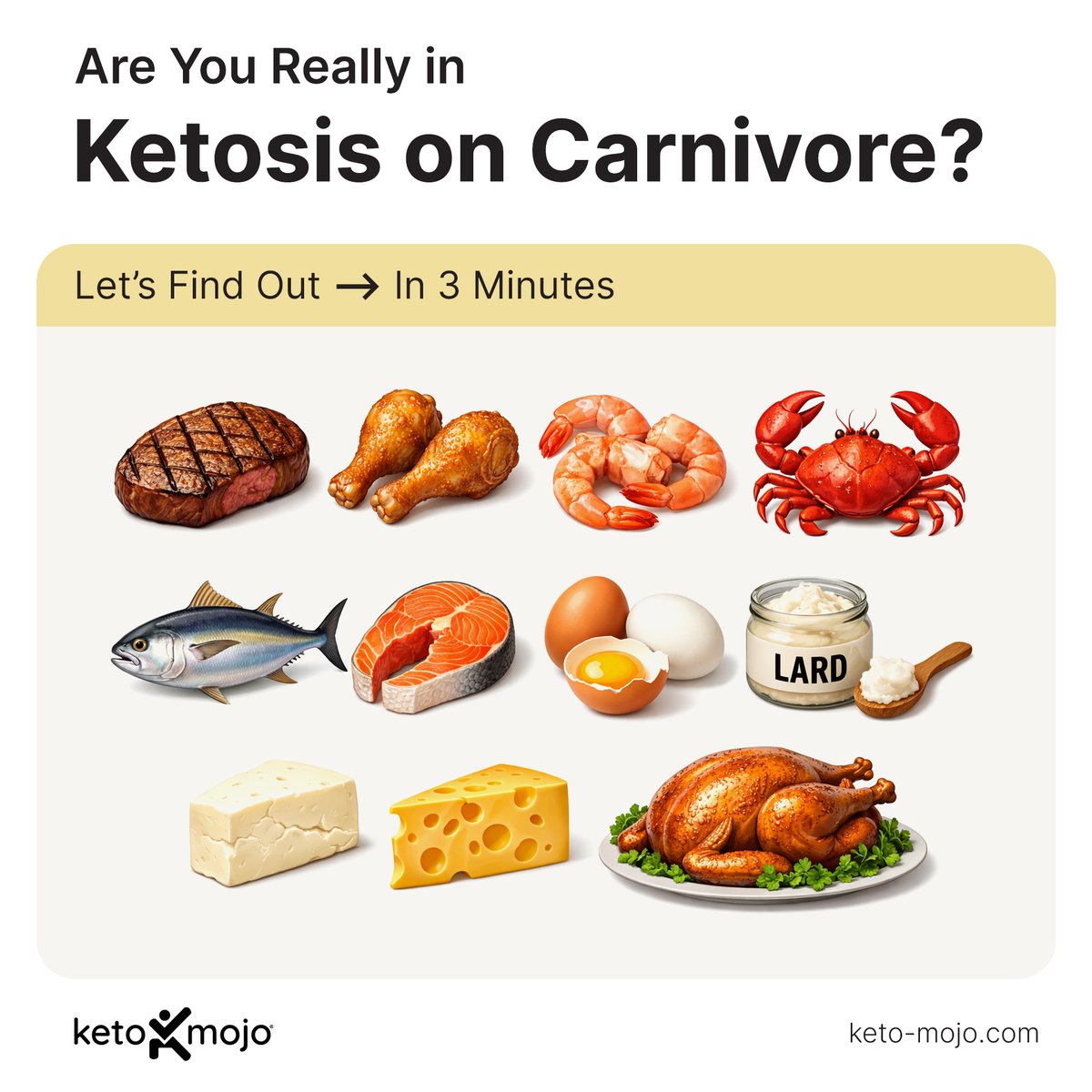 Keto-Mojo tweet media