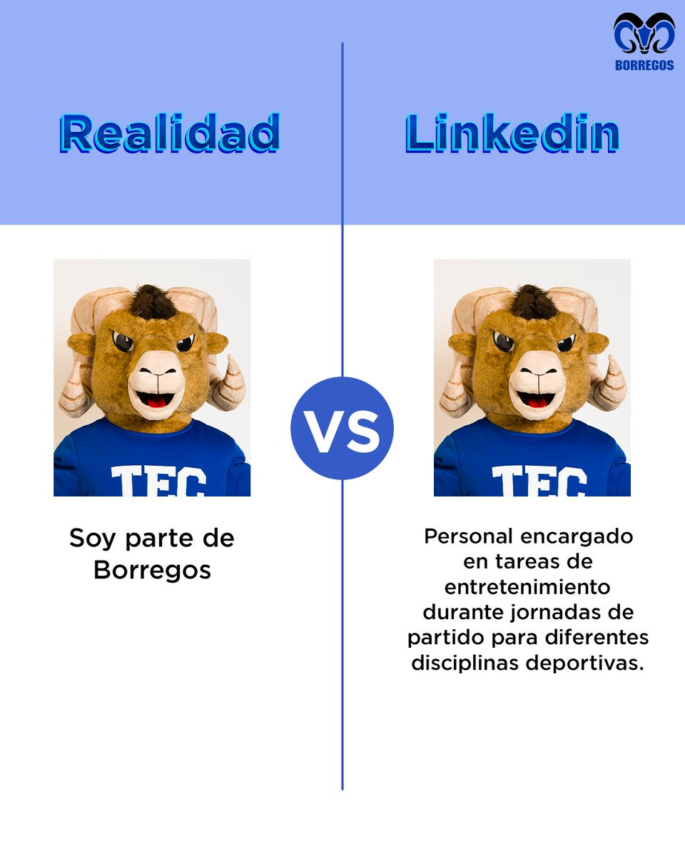 Borregos Tec tweet media