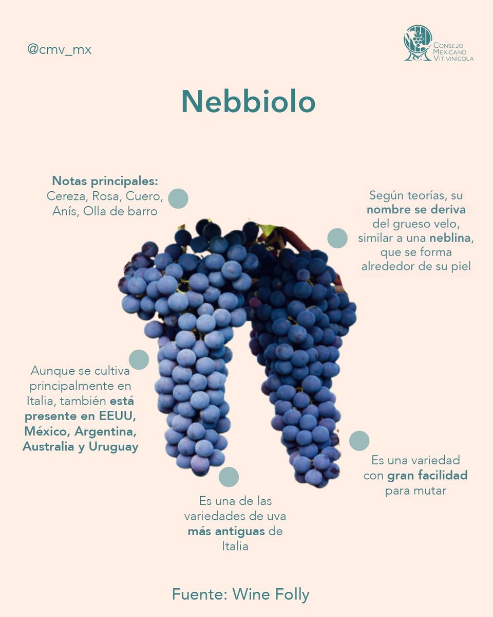 Consejo Mexicano Vitivinícola tweet media