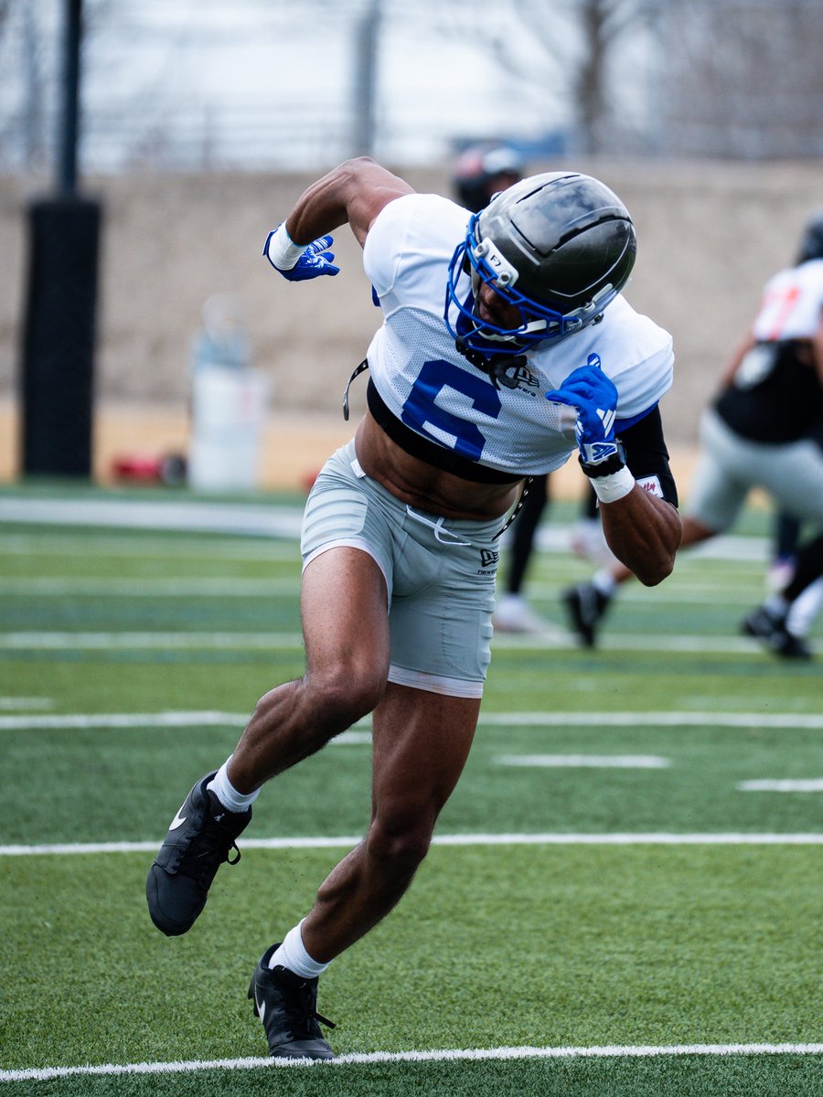 BattlehawksUFL's tweet image. battle tested.