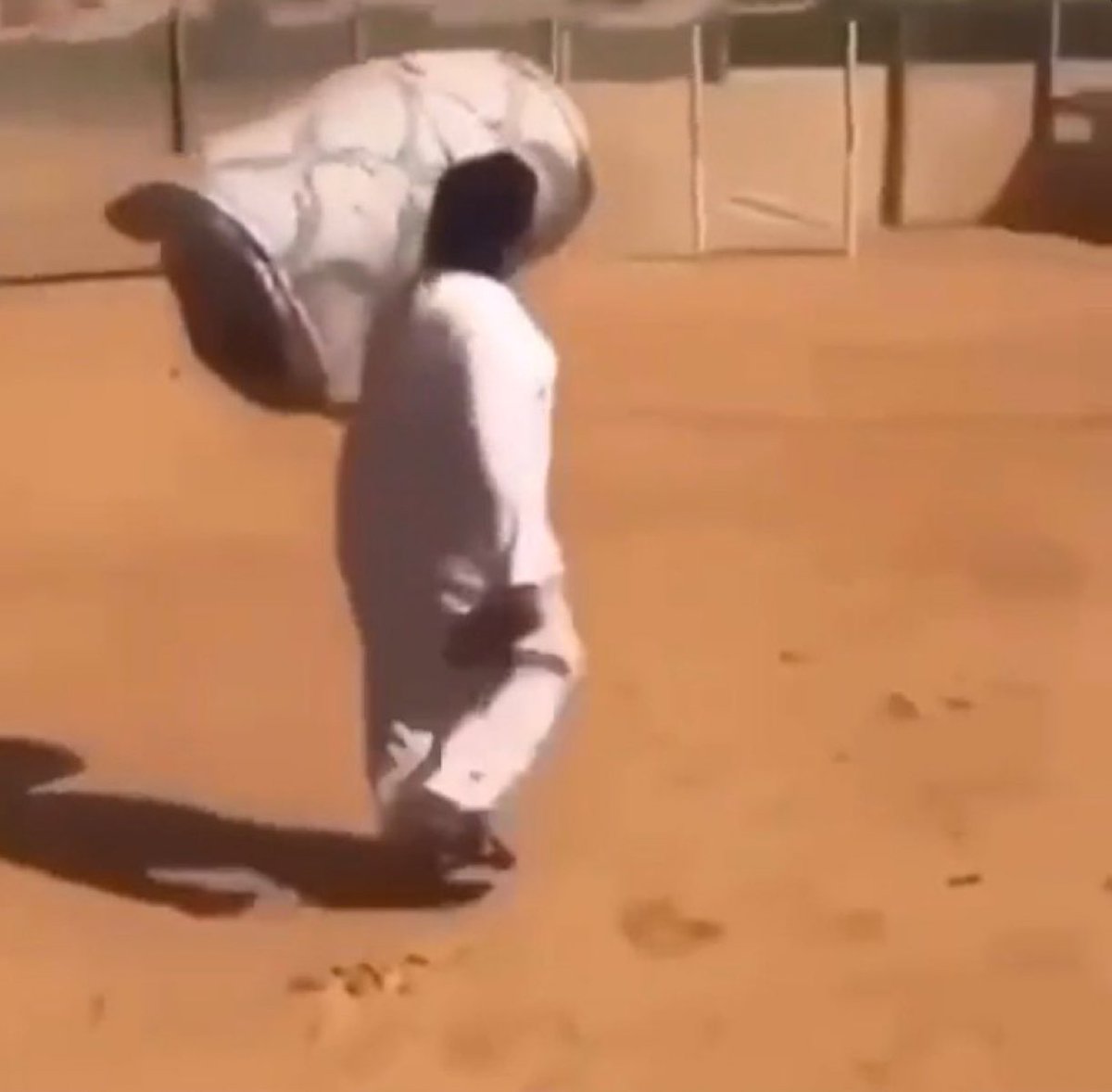 فهد بن محمد tweet media